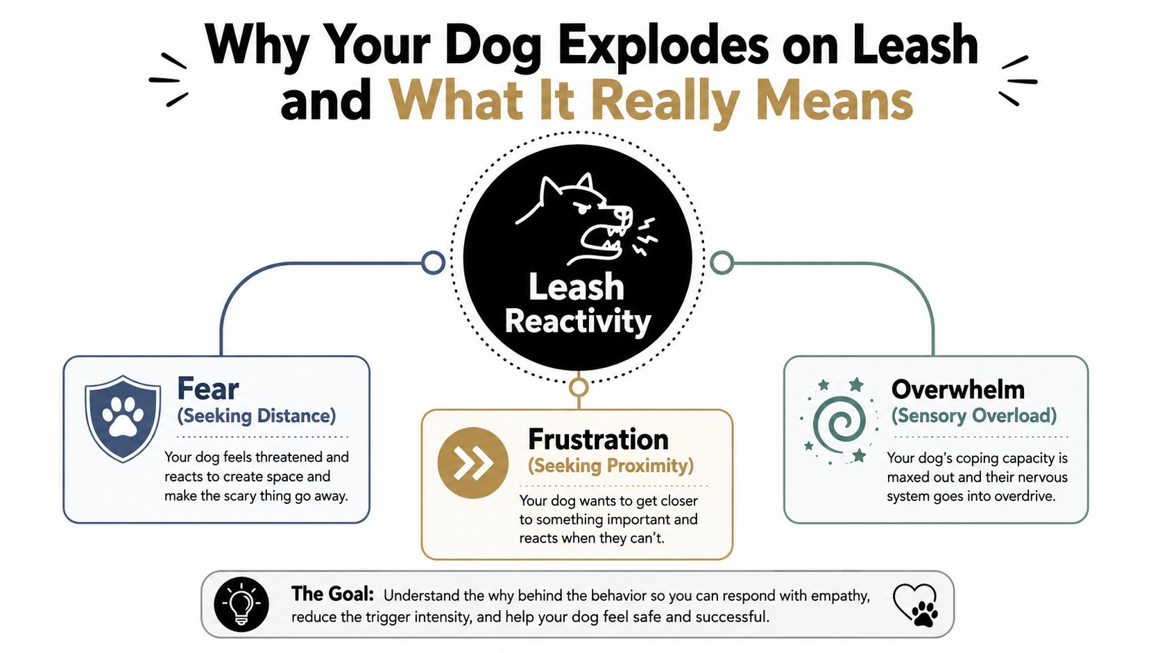 A diagram explaining three common reasons for dog leash reactivity: fear, frustration, and sensory overwhelm.