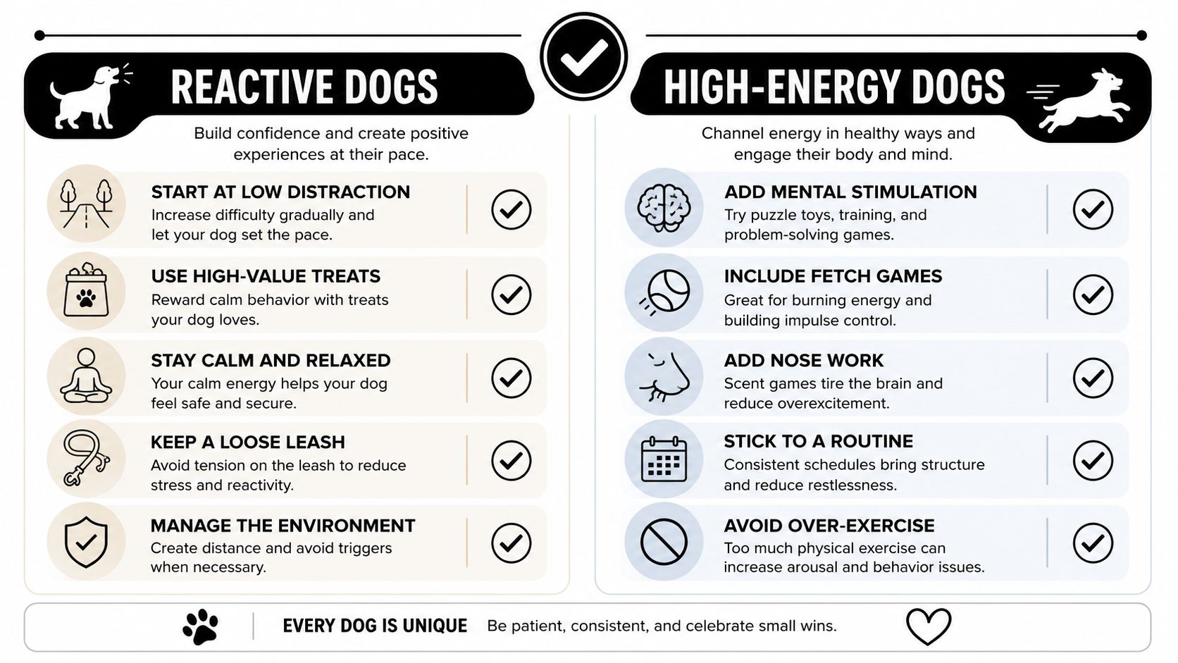 An infographic detailing training and care tips for both reactive dogs and high-energy dogs to improve behavior.