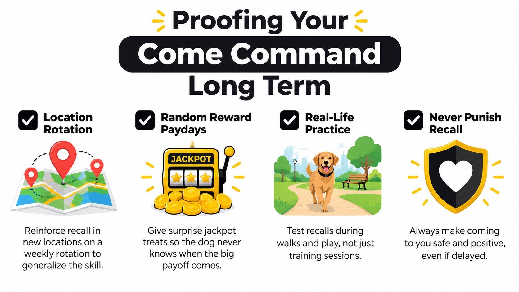 An infographic titled Proofing Your Come Command Long Term with four tips for dog training.
