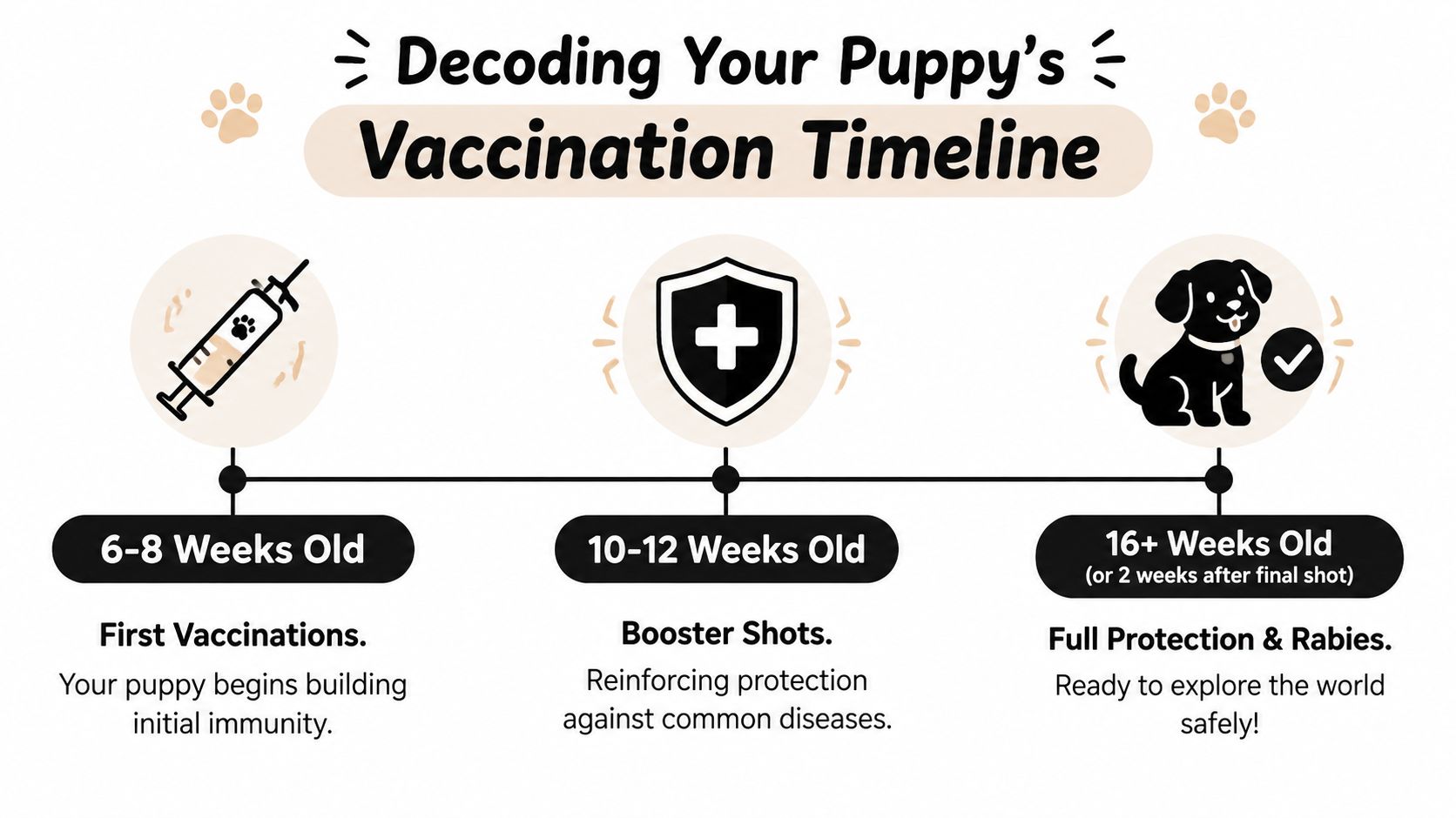A simple infographic explaining the recommended puppy vaccination schedule from 6 weeks to 16 weeks old.