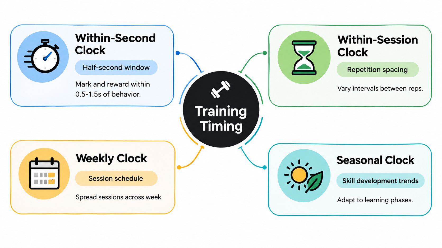 A diagram illustrating the concept of training timing divided into four categories: within-second, within-session, weekly, and seasonal clocks.