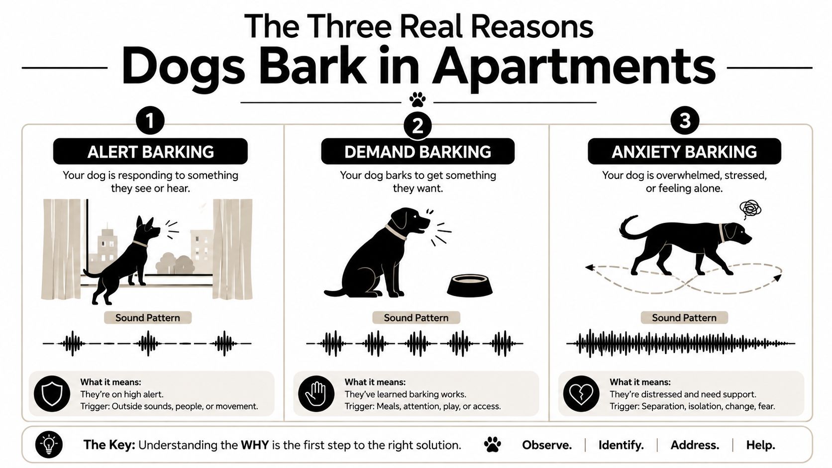 An infographic showing three main reasons for dog barking in apartments: alert, demand, and anxiety barking.