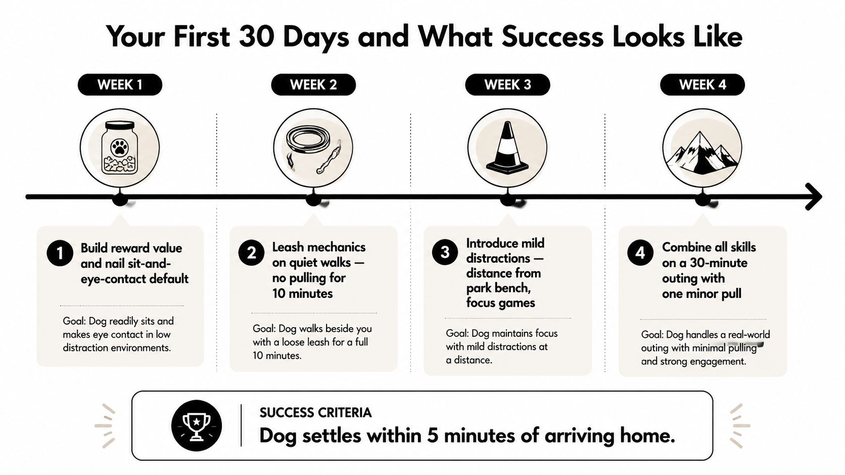 A timeline graphic outlining a four-week dog training plan for success, detailing goals for each weekly phase.