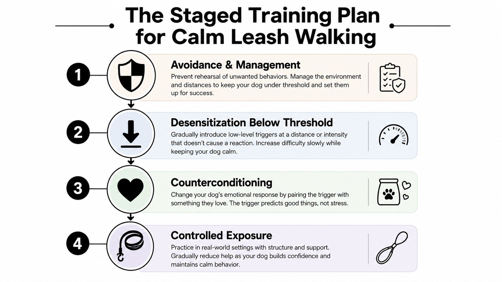 A four-step staged training plan infographic for helping reactive dogs learn calm leash walking behaviors.