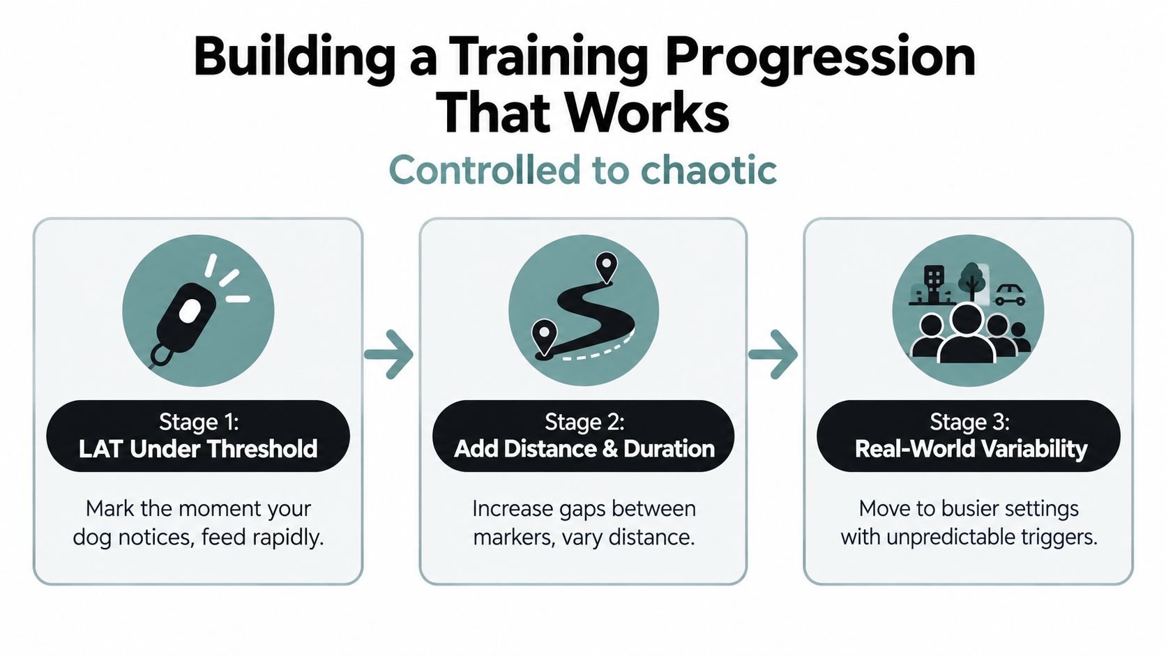 A diagram outlining a three-stage training progression for dogs, moving from controlled environments to chaotic, real-world settings.