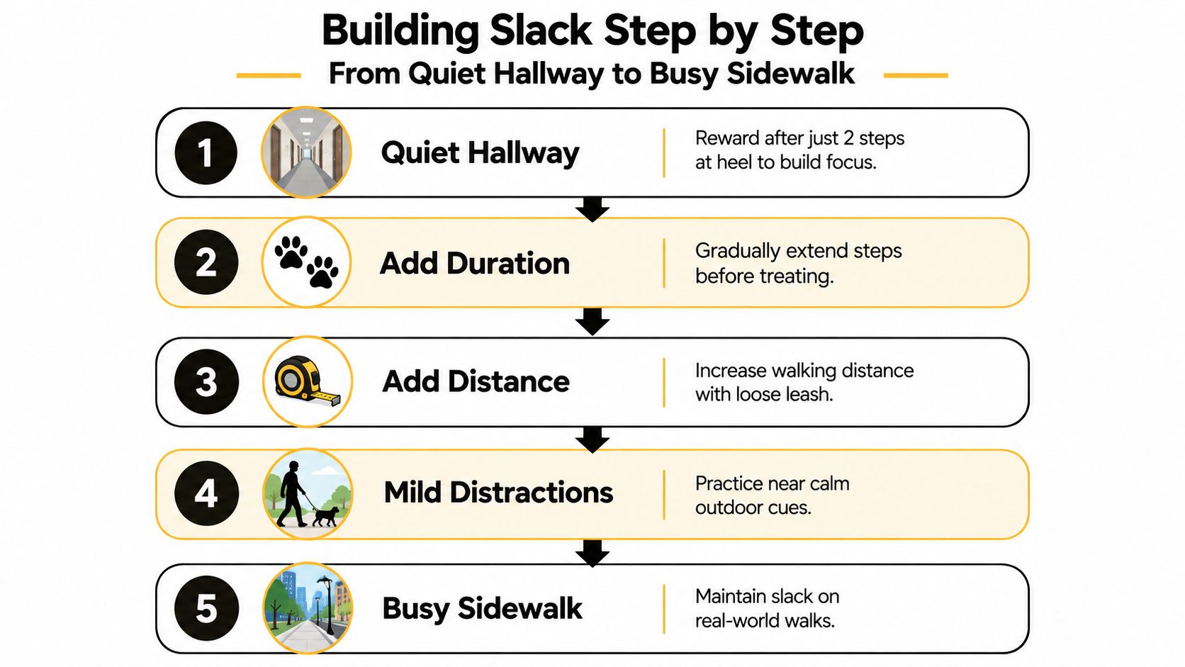 A five-step infographic showing how to train a dog for loose leash walking in various environments.