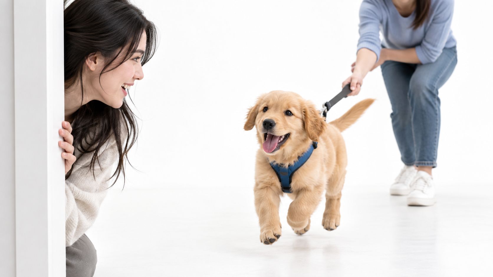 A happy golden retriever puppy running toward a woman peeking around a white door frame indoors