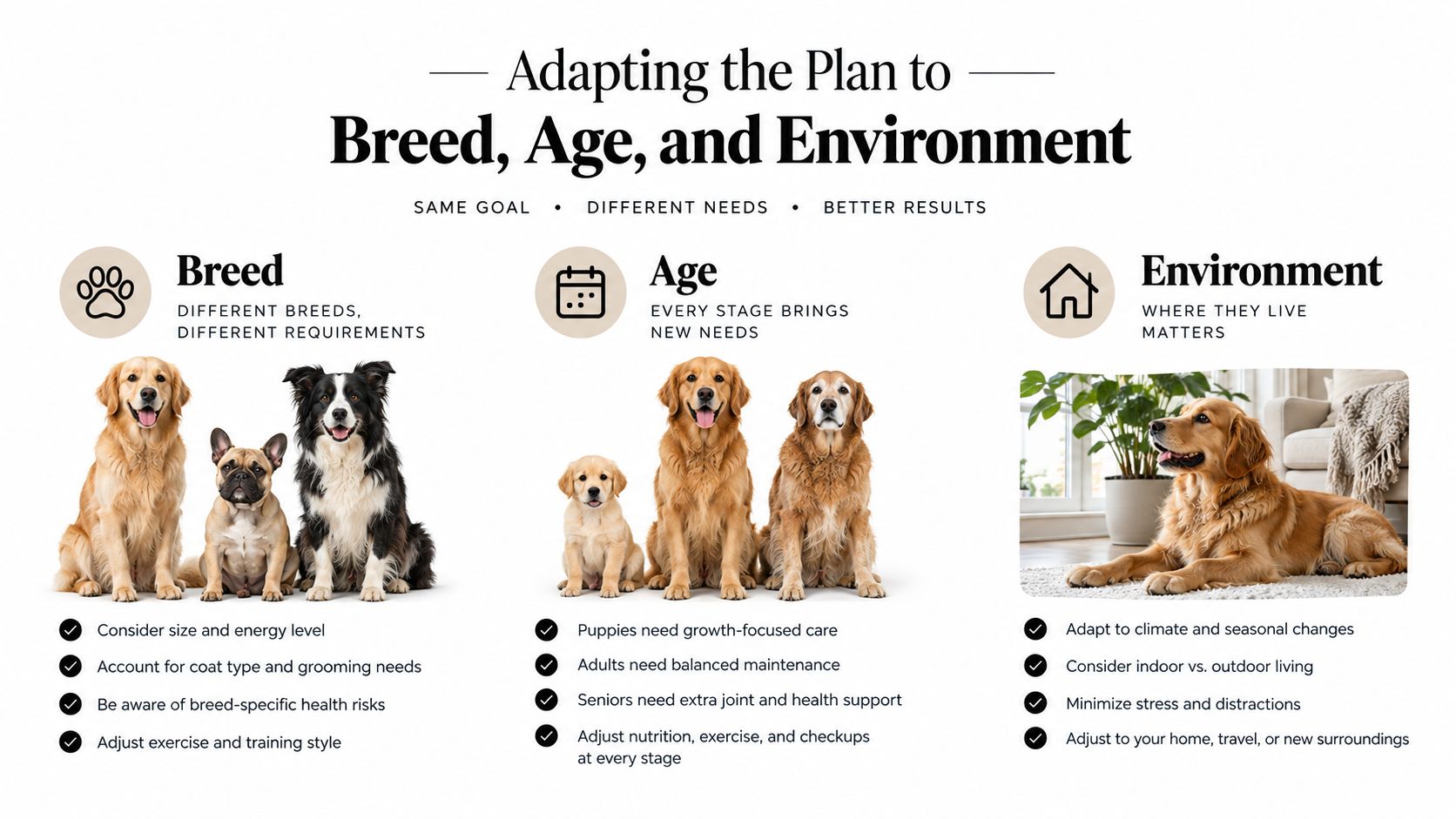An infographic showing how to adapt dog care plans based on breed, age, and living environment.
