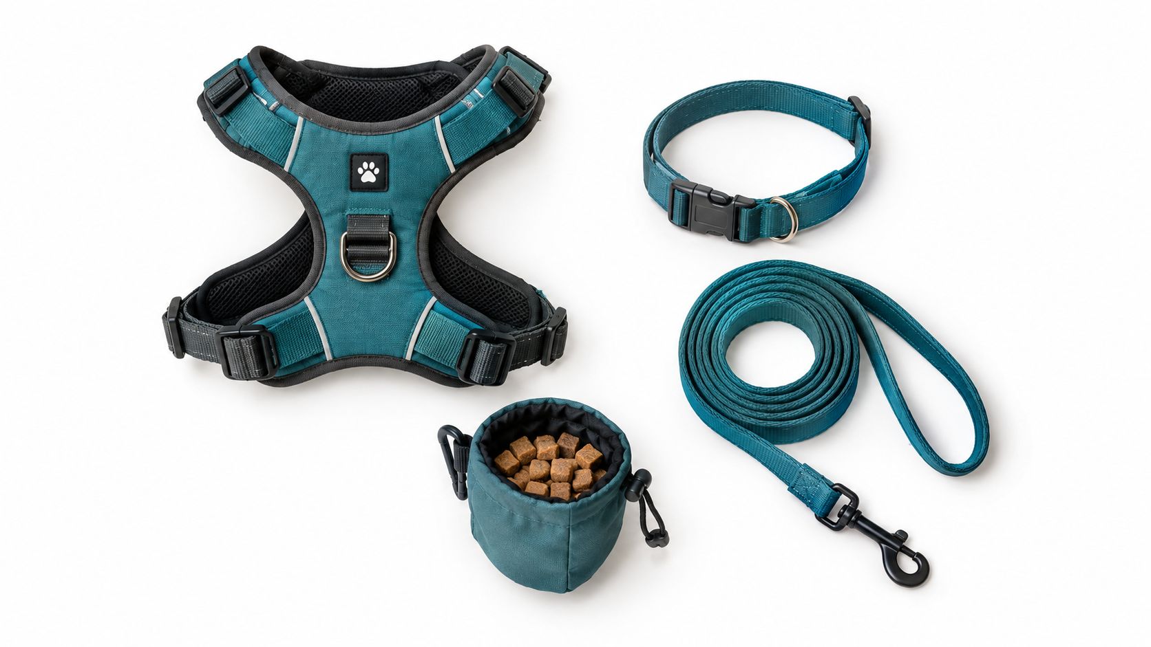 A teal dog harness, leash, matching collar, and treat pouch with dog treats on a white background.