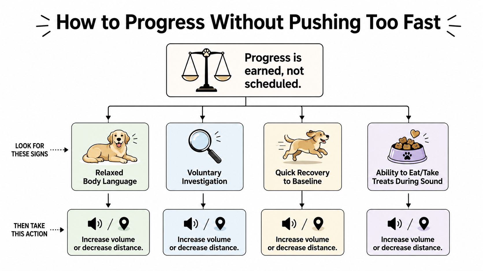 An infographic showing four signs of dog progress when training for noise sensitivity and appropriate next actions.