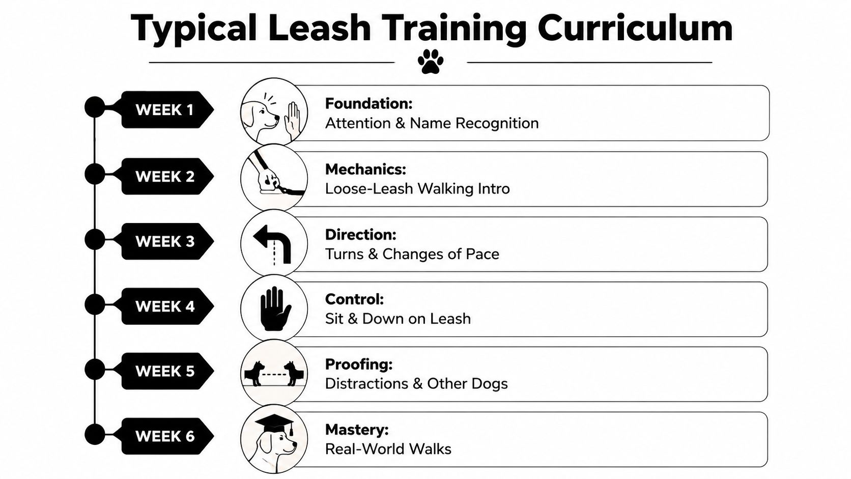 A six-week typical dog leash training curriculum chart outlining weekly goals from foundation to mastery.