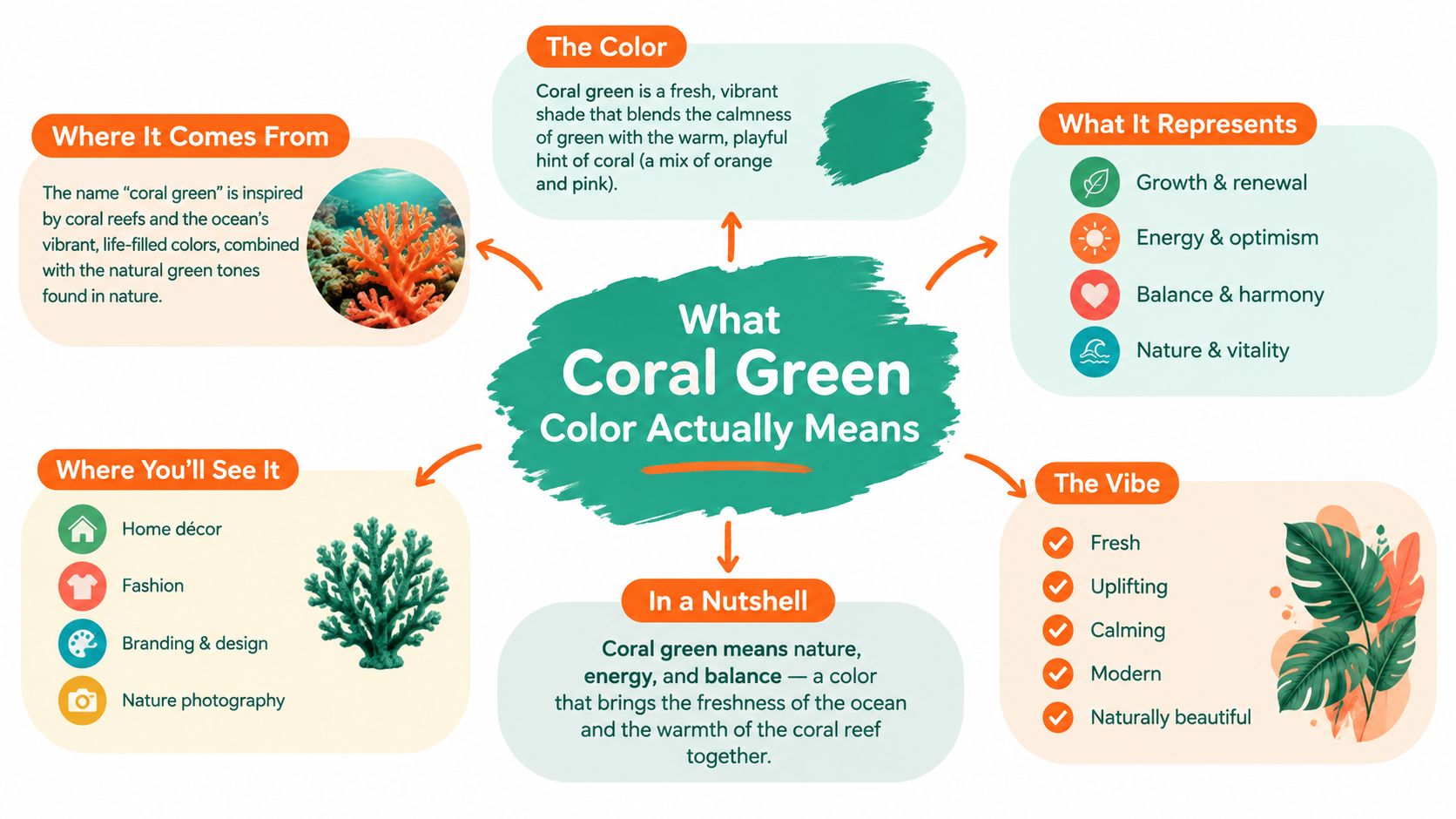 An infographic explaining the meaning and characteristics of the coral green color through organized sections.