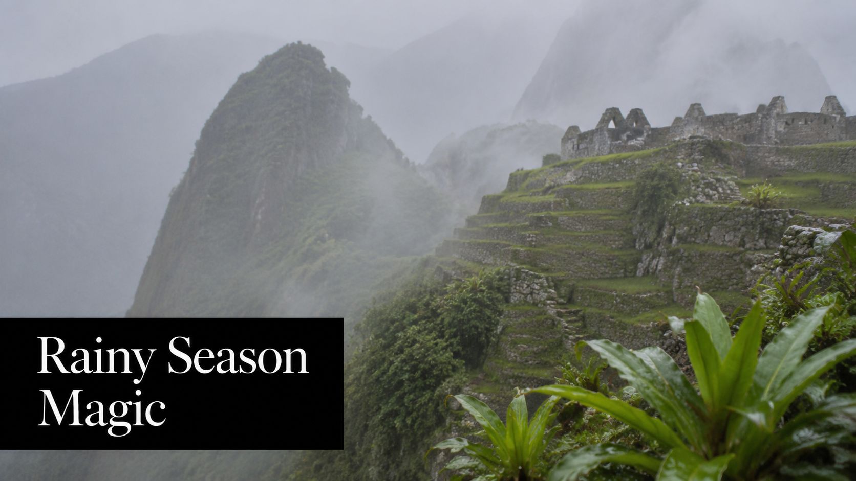 A misty, atmospheric view of the ancient Inca ruins of Machu Picchu during the rainy season.