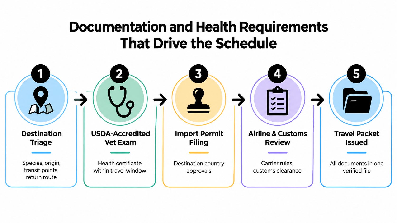 A five-step infographic showing the process of pet travel documentation, health requirements, and import permit filing.