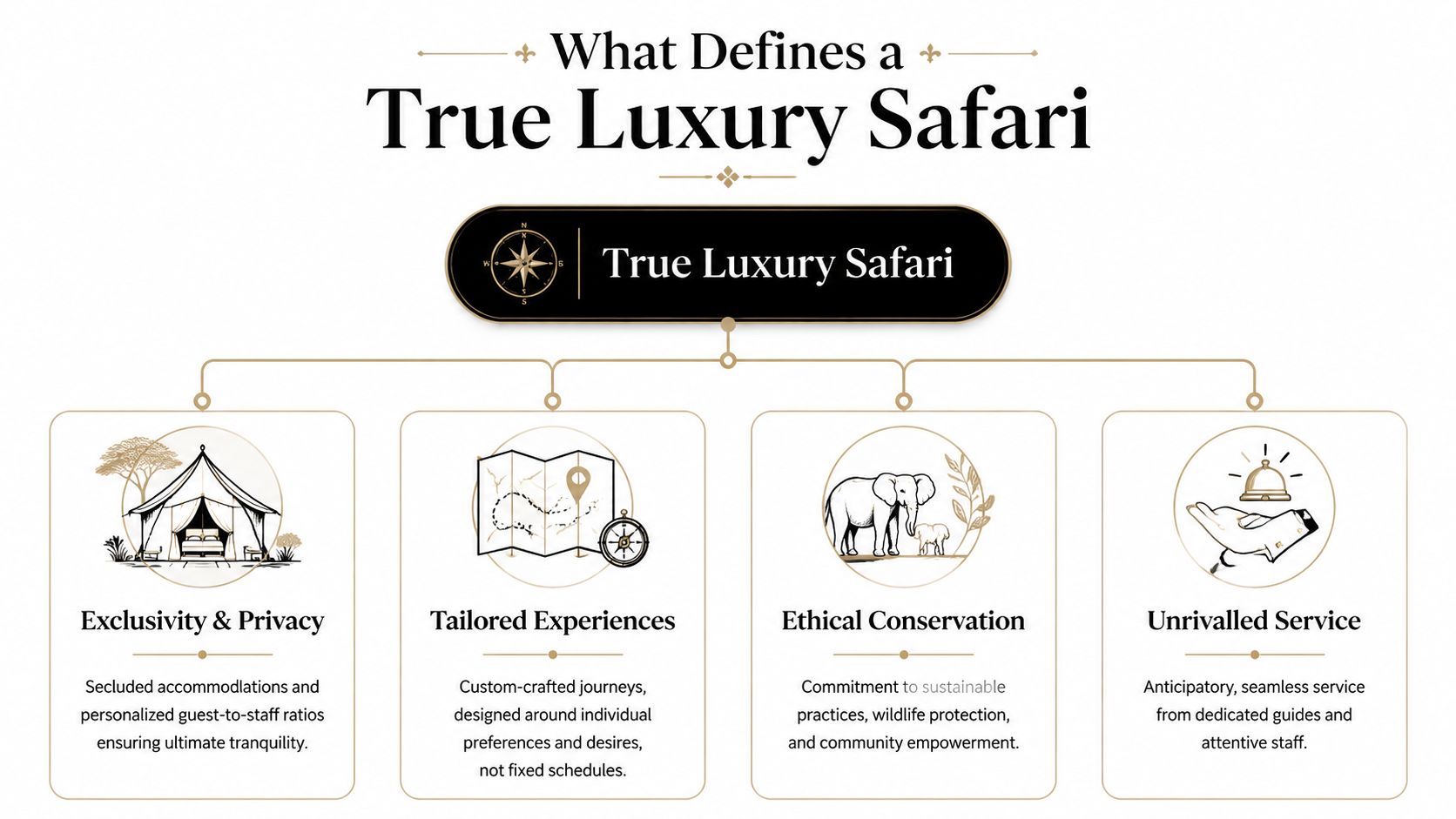 A diagram outlining the four pillars of a true luxury safari including privacy, tailored experiences, conservation, and service.