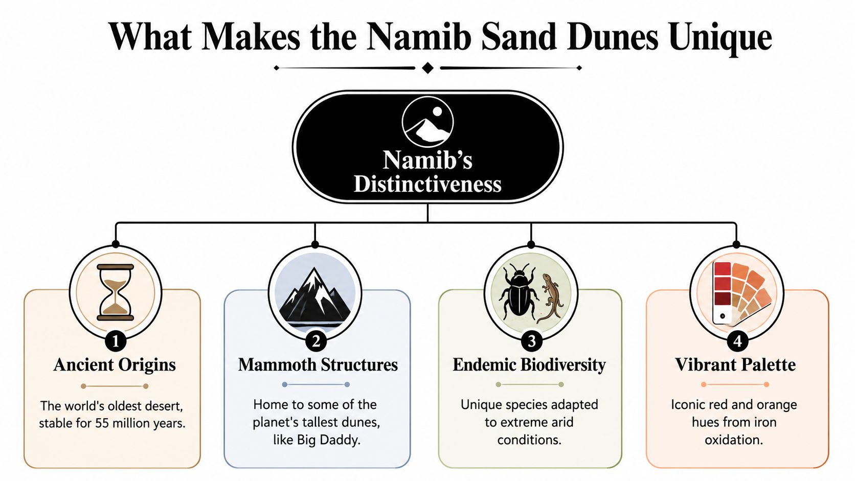 An infographic titled What Makes the Namib Sand Dunes Unique featuring four key distinct characteristics.