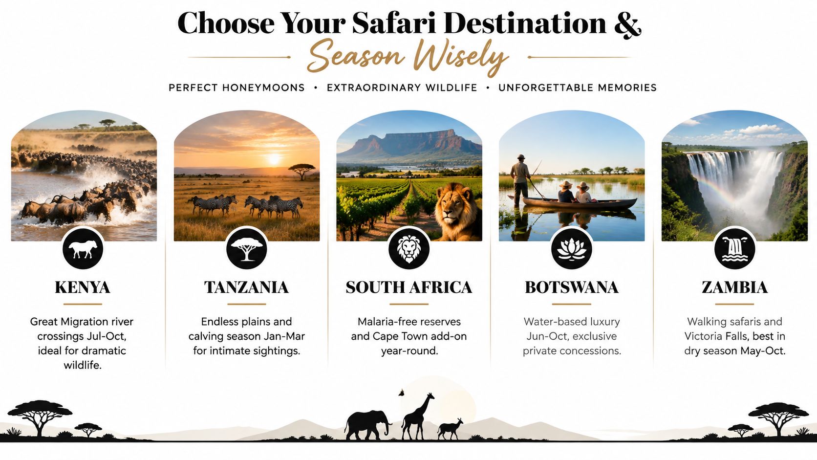 A travel guide infographic comparing luxury safari honeymoon destinations including Kenya, Tanzania, South Africa, Botswana, and Zambia.