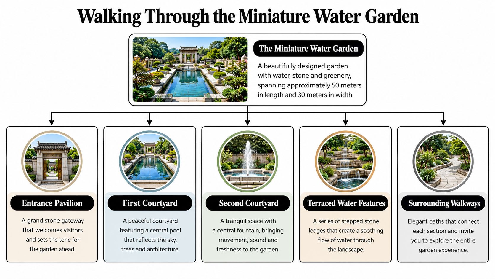 An infographic titled Walking Through the Miniature Water Garden describing its five key sections with accompanying images.
