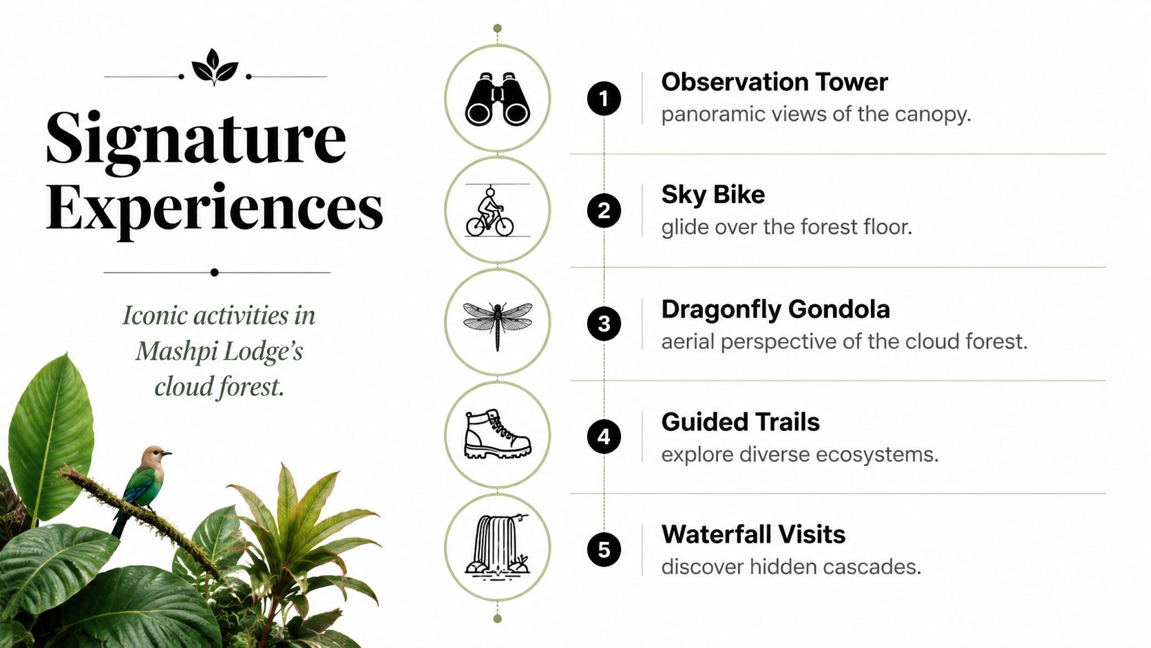 A travel infographic listing five signature experiences available for guests visiting the Mashpi Lodge cloud forest in Ecuador.