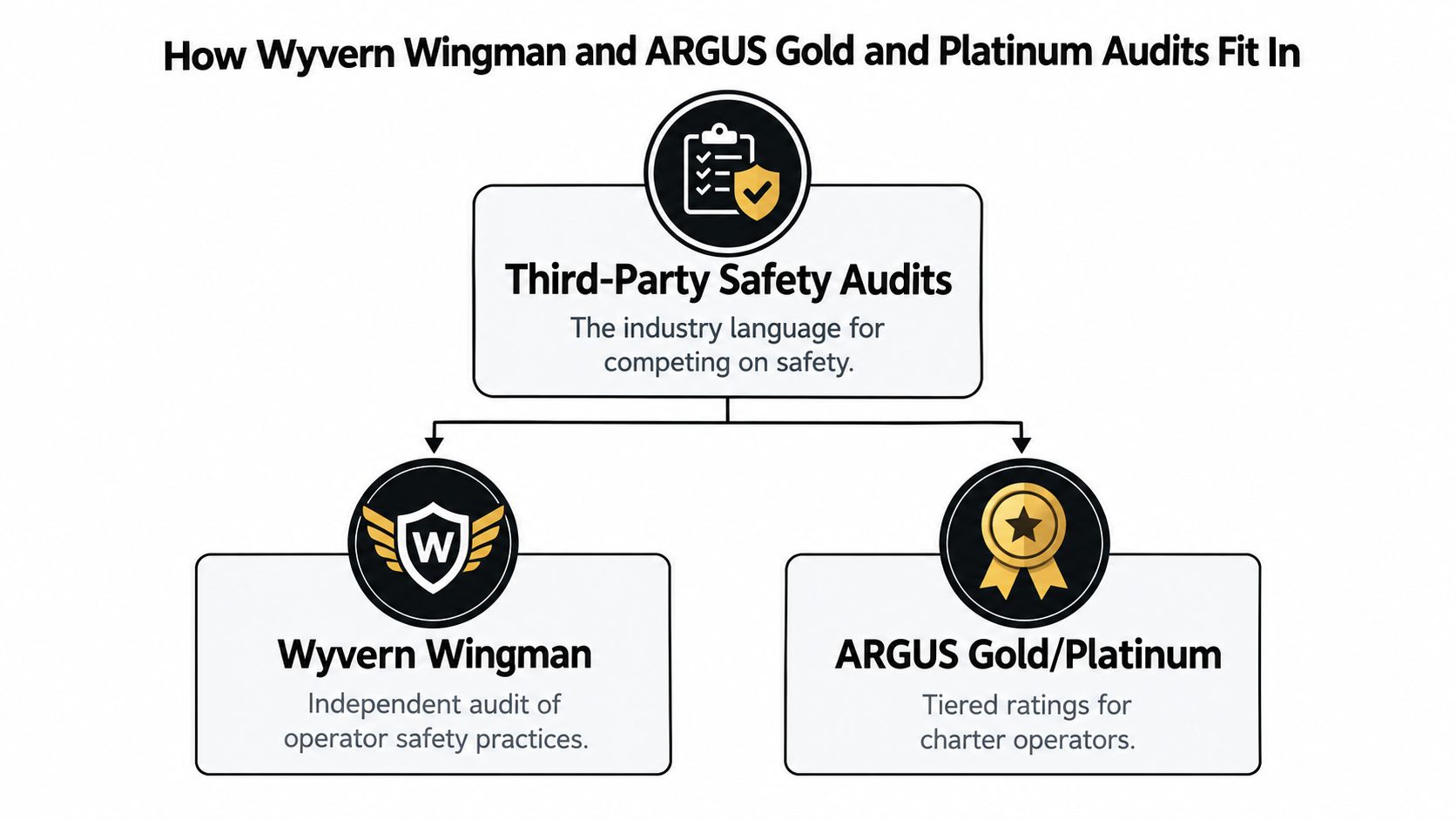 A diagram illustrating how Wyvern Wingman and ARGUS safety audits function within the private aviation industry.