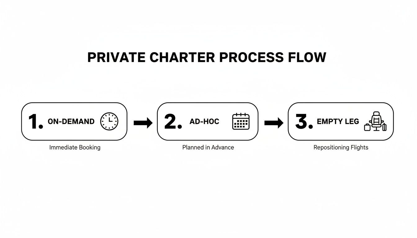 Diagram illustrating the private charter flight process flow, detailing on-demand, ad-hoc, and empty leg booking options.