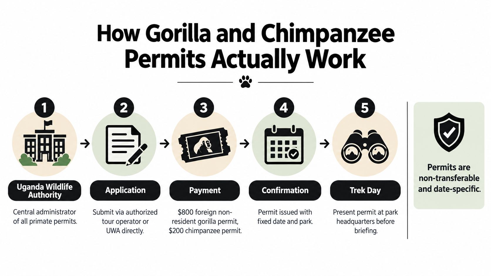 A flowchart infographic explaining the five-step process to obtain Uganda gorilla and chimpanzee trekking permits.