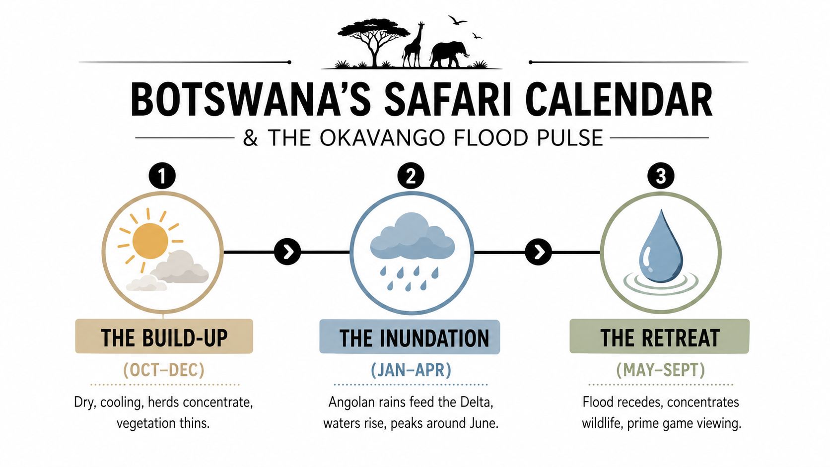 An infographic titled Botswana's Safari Calendar illustrating the three seasonal phases of the Okavango Delta flood.
