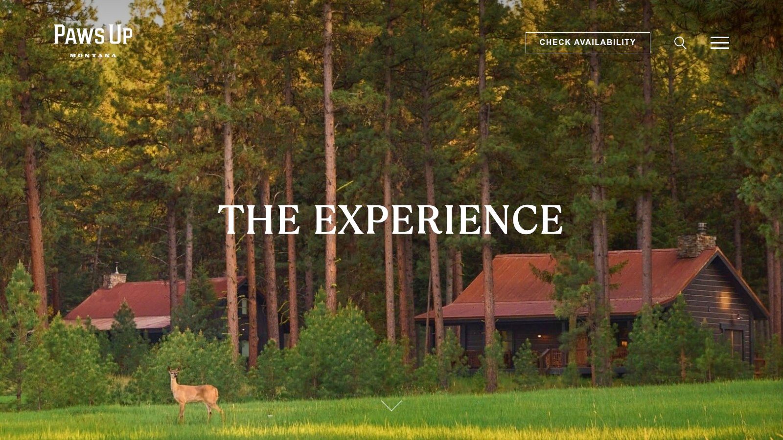 The Resort at Paws Up