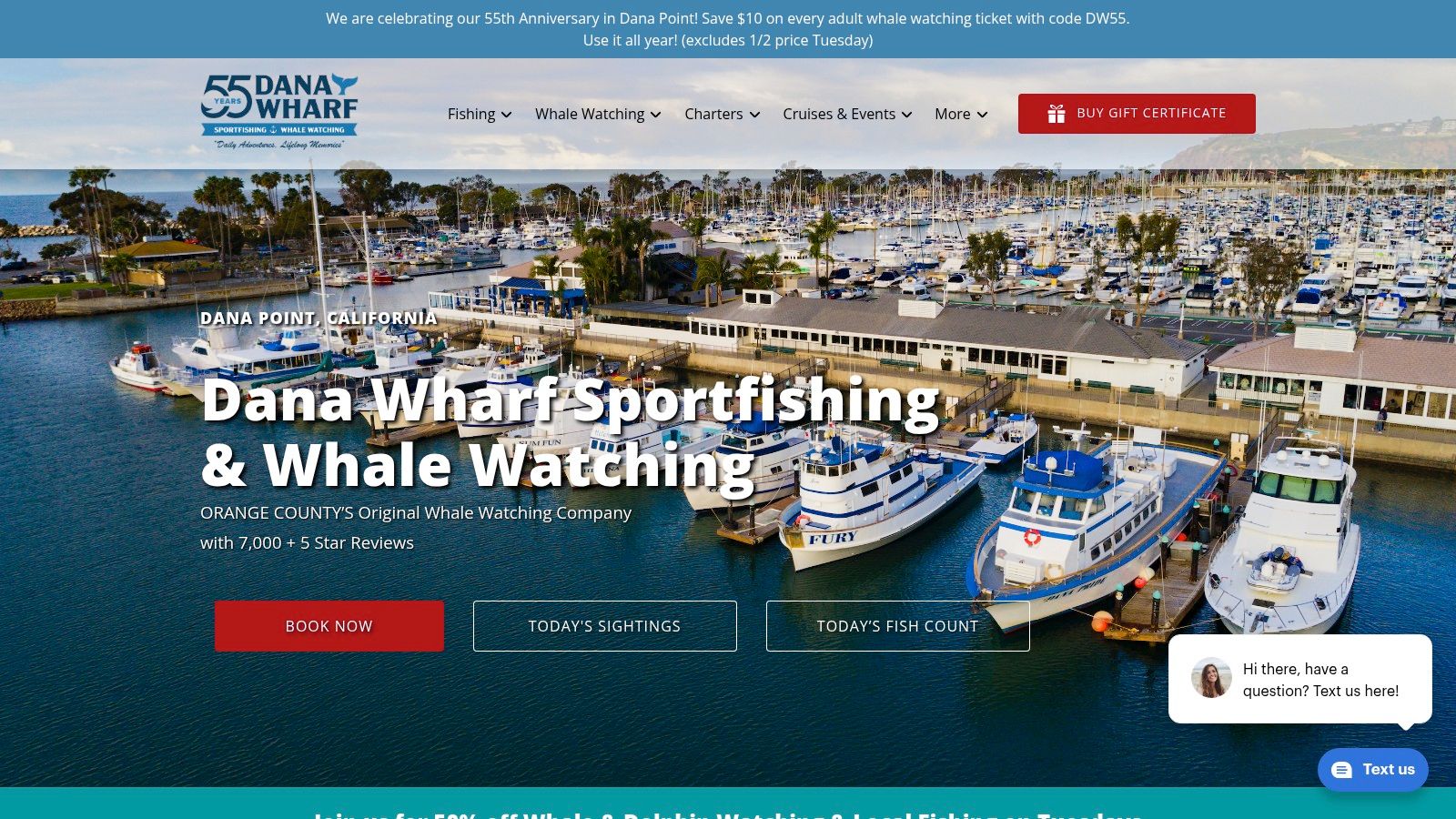 Charter a Private Whale-Watching Yacht