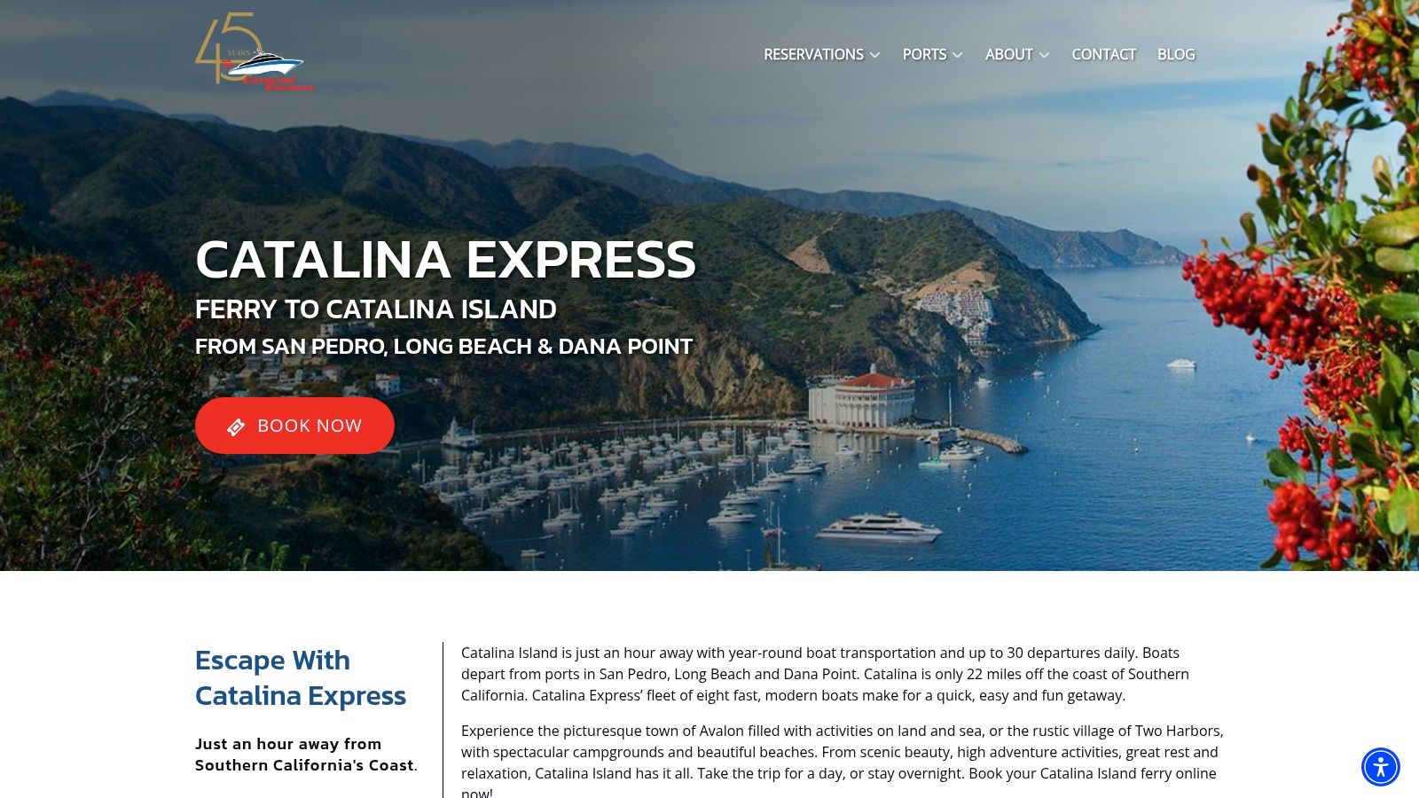Arrange a VIP Day Trip to Catalina Island