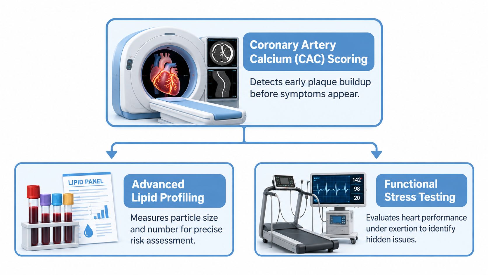 A medical infographic illustrating diagnostic heart health tests including coronary artery calcium scoring, lipid profiling, and stress testing.