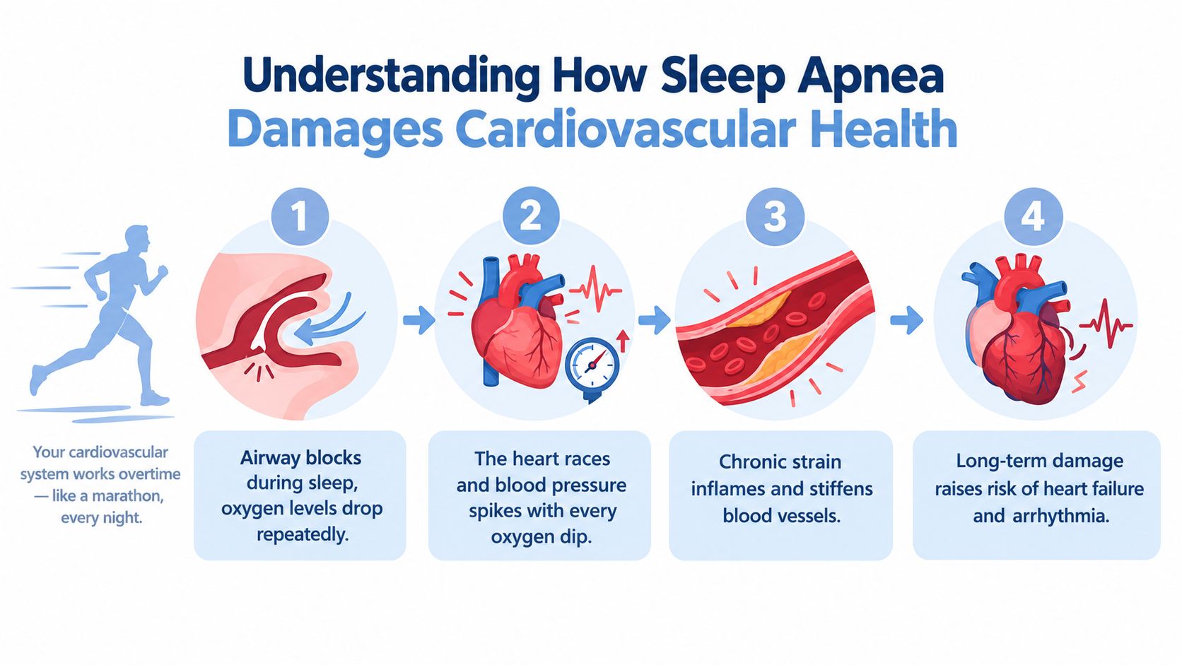 An infographic showing the four stages of how sleep apnea leads to cardiovascular damage and heart disease.