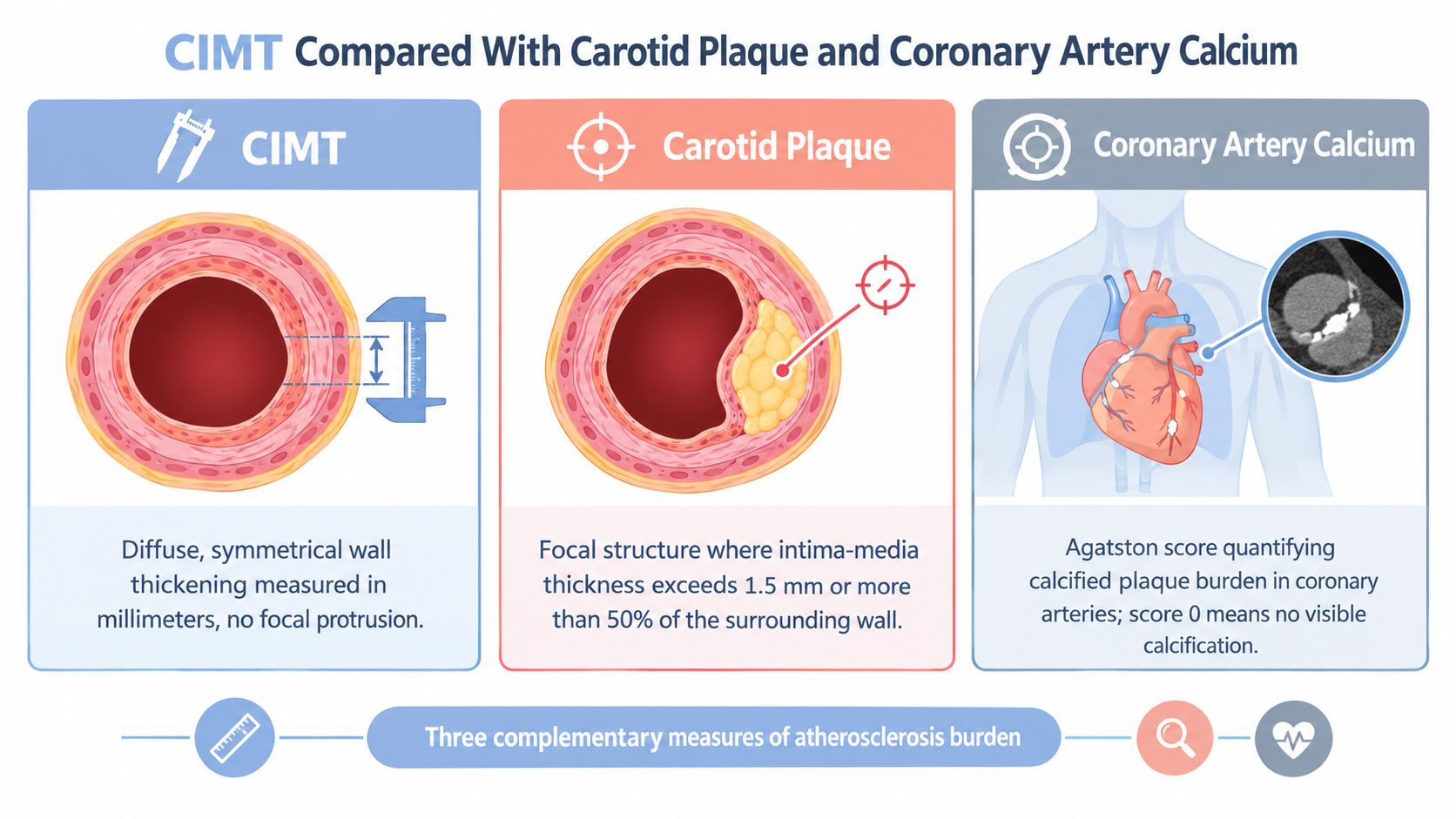 An infographic comparing carotid intima-media thickness, carotid plaque, and coronary artery calcium as measures of atherosclerosis.