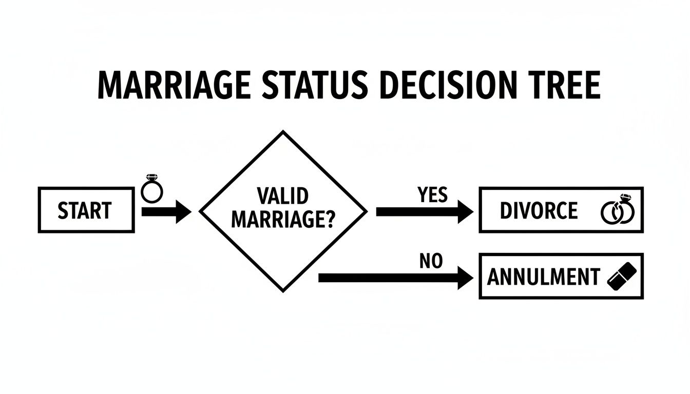 A flowchart titled 'Marriage Status Decision Tree' illustrating the paths to divorce or annulment.
