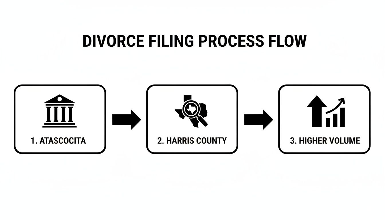 Flowchart illustrating the divorce filing process from Atascocita to Harris County, showing higher volume.