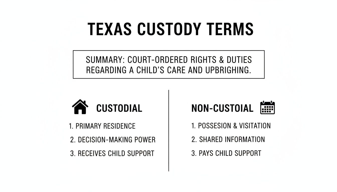Diagram explaining Texas custody terms: custodial vs non-custodial parent roles and responsibilities.