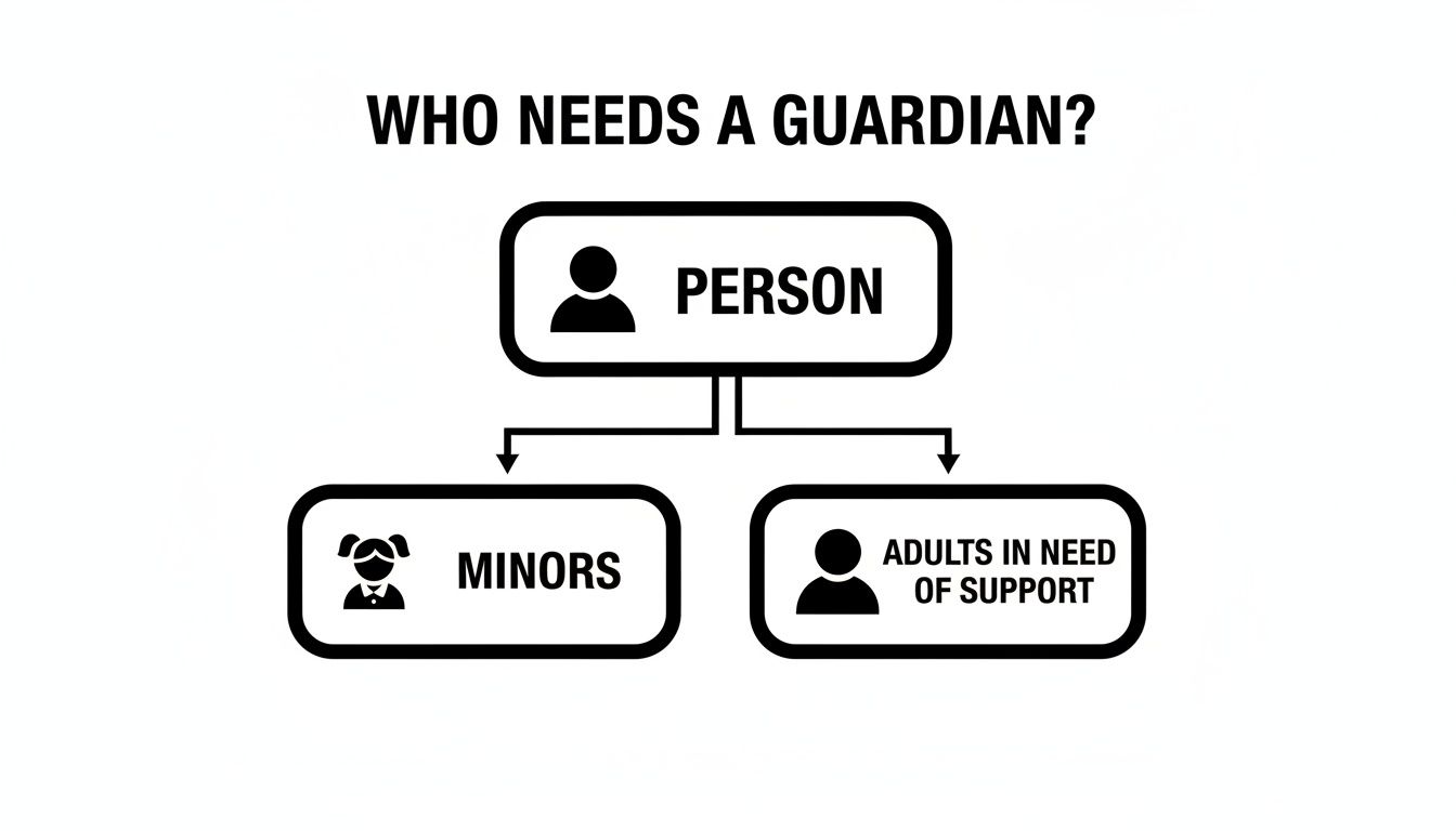 Flowchart detailing who needs a guardian: minors and adults in need of support.