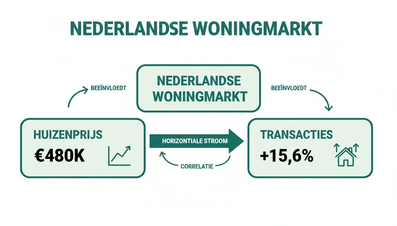 Infographic over de Nederlandse woningmarkt met huizenprijzen, transacties en hun onderlinge relaties.