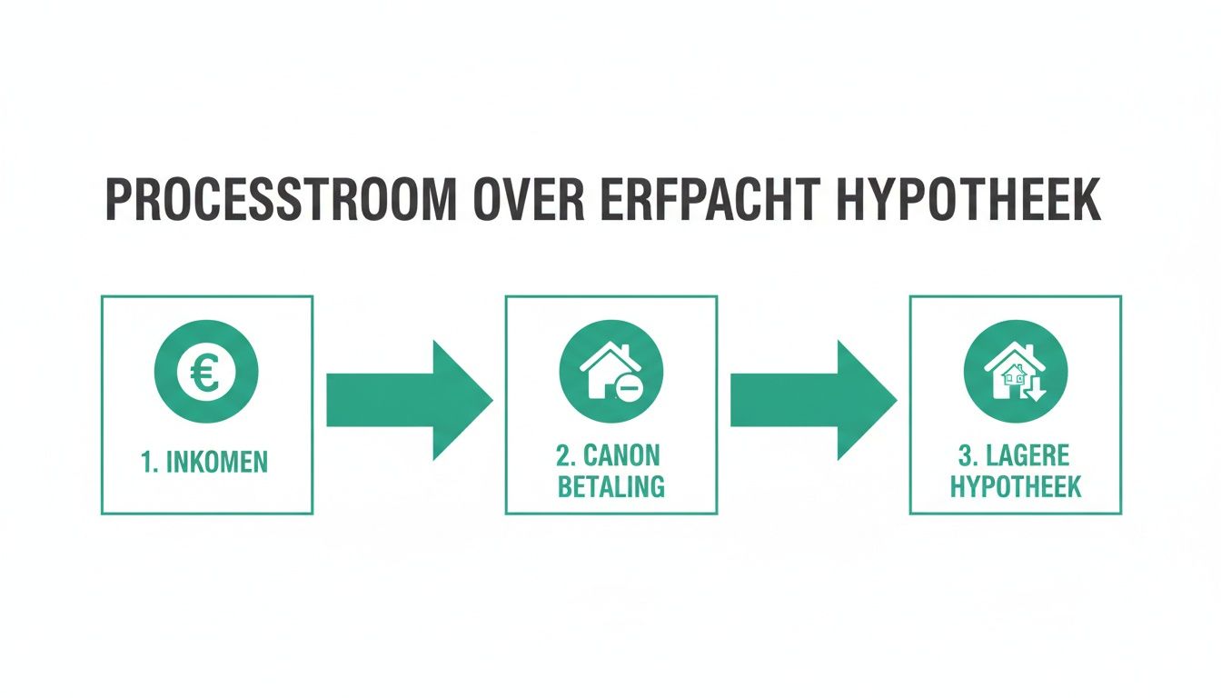 Een stroomschema over erfpacht hypotheek, met stappen voor inkomen, canon betaling en een lagere hypotheek.