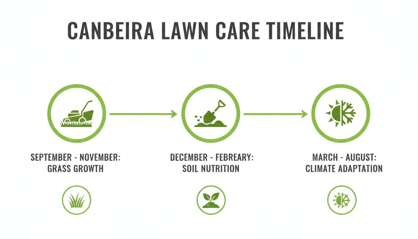 Canberra lawn care timeline showing seasonal activities for grass growth, soil nutrition, and climate adaptation.