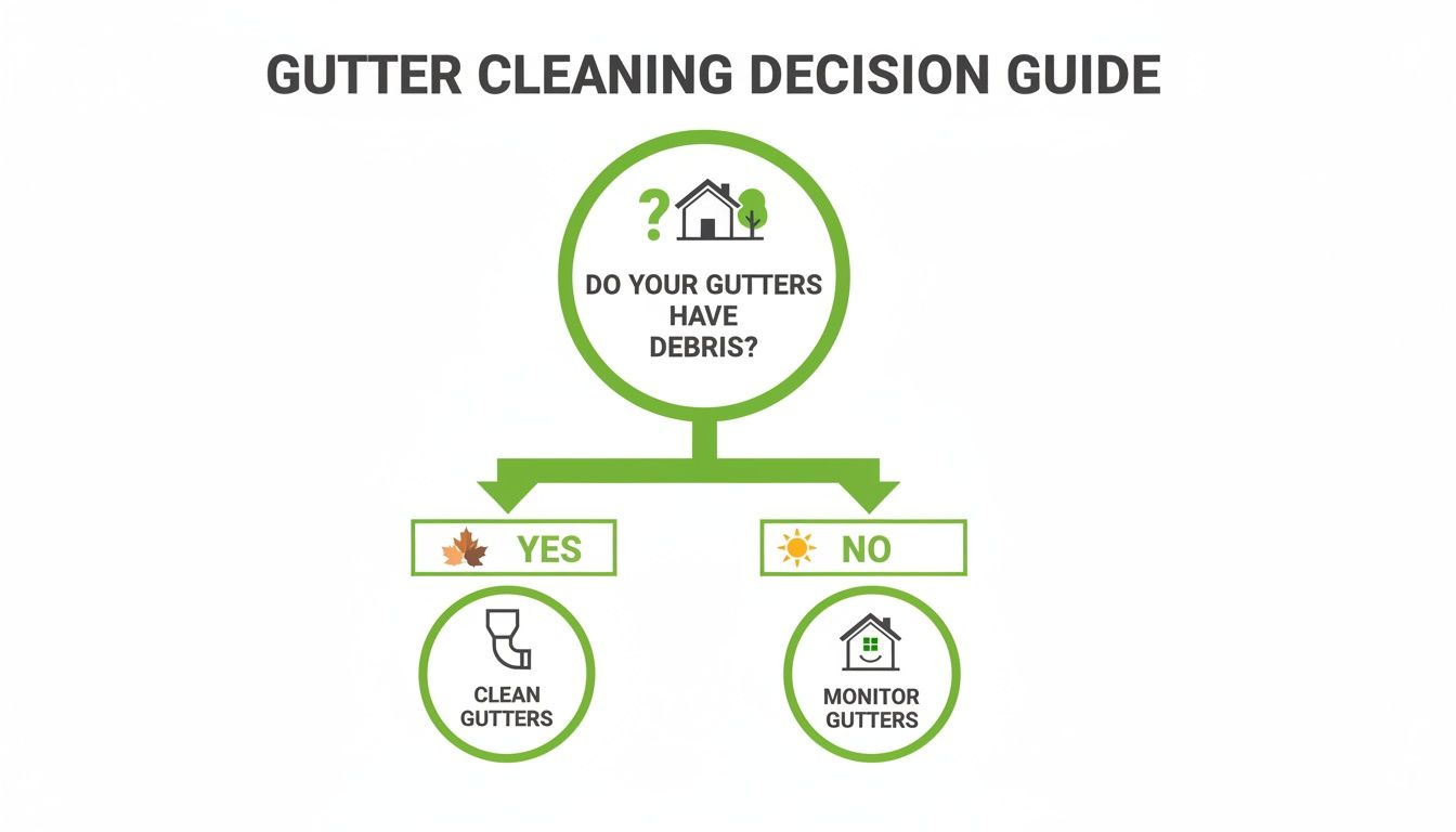 A gutter cleaning decision guide flowchart asking if gutters have debris, leading to cleaning or monitoring.