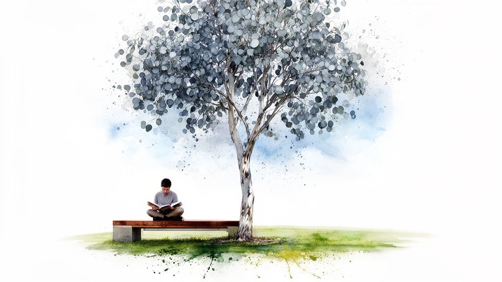 Watercolor art of a person reading a book on a bench under a lush tree with silver leaves.