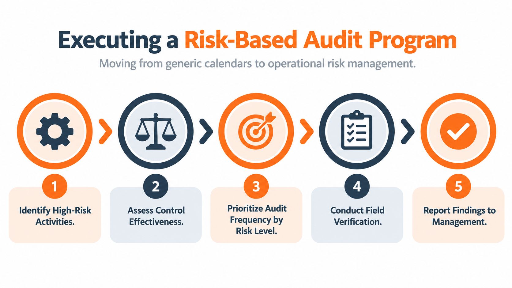 A five-step infographic outlining the process of executing a risk-based audit program in the workplace.