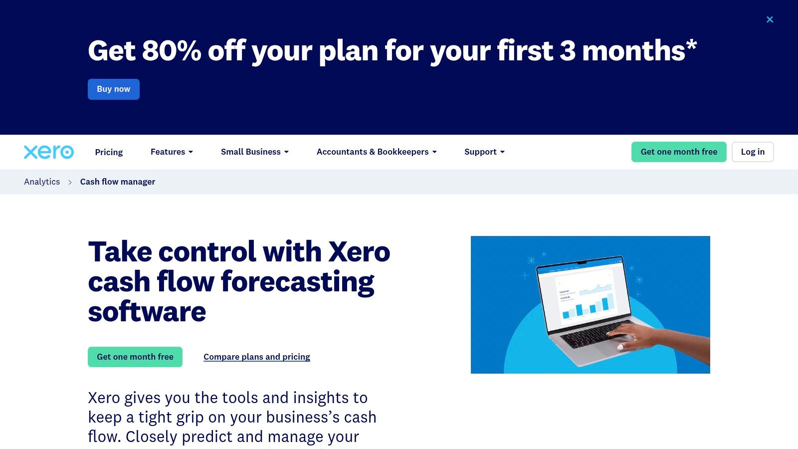 Xero cash flow manager