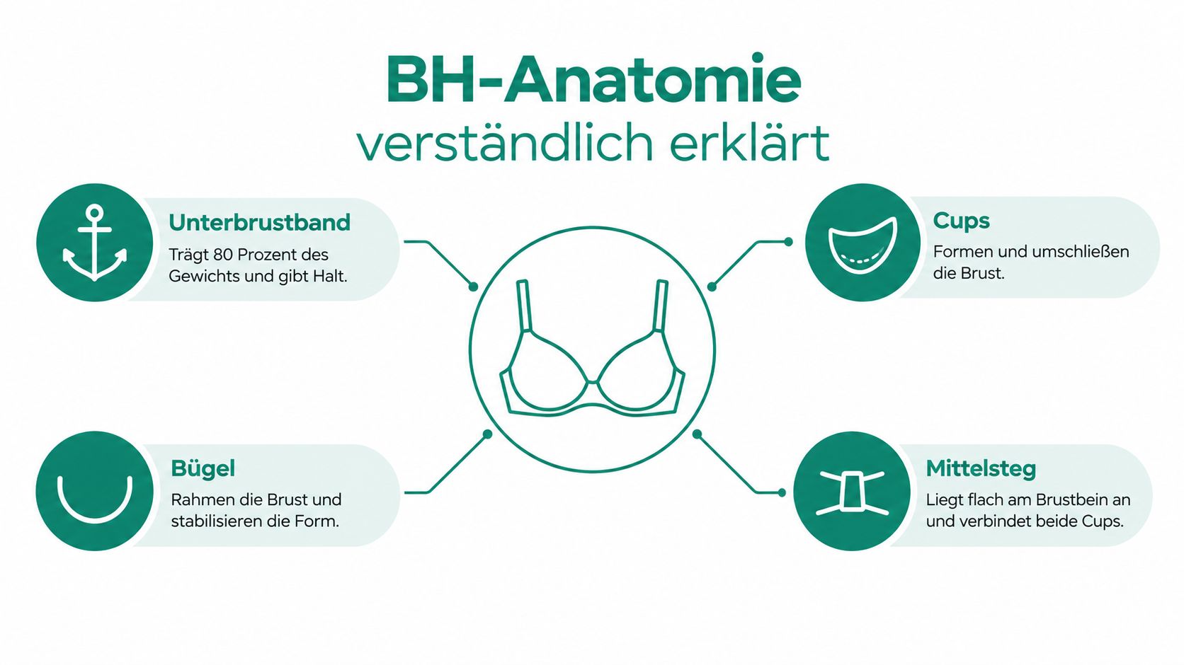 Eine informative Infografik über die Anatomie eines Büstenhalters mit Erklärungen zu Unterbrustband, Cups, Bügel und Mittelsteg.