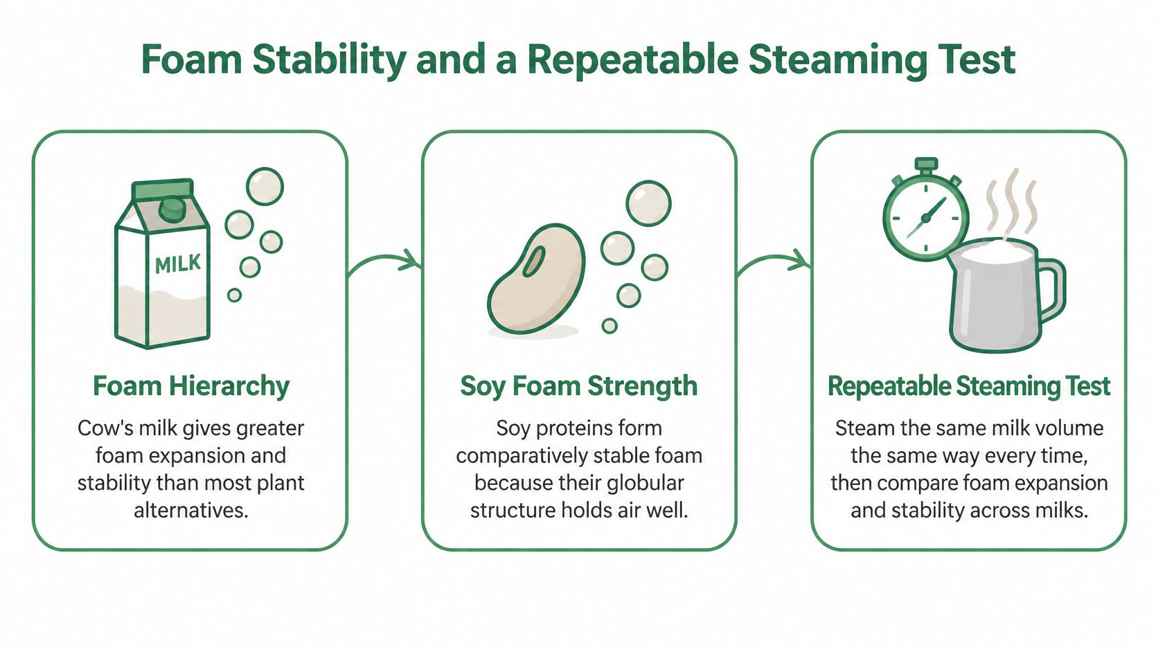 An infographic illustrating foam stability in dairy versus soy milk and a repeatable steaming test procedure.