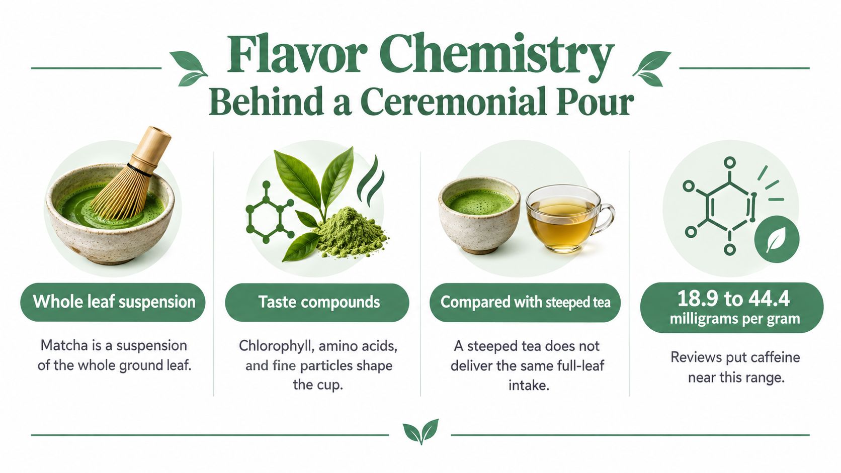 An infographic explaining the science and flavor profile behind a cup of ceremonial grade matcha tea.