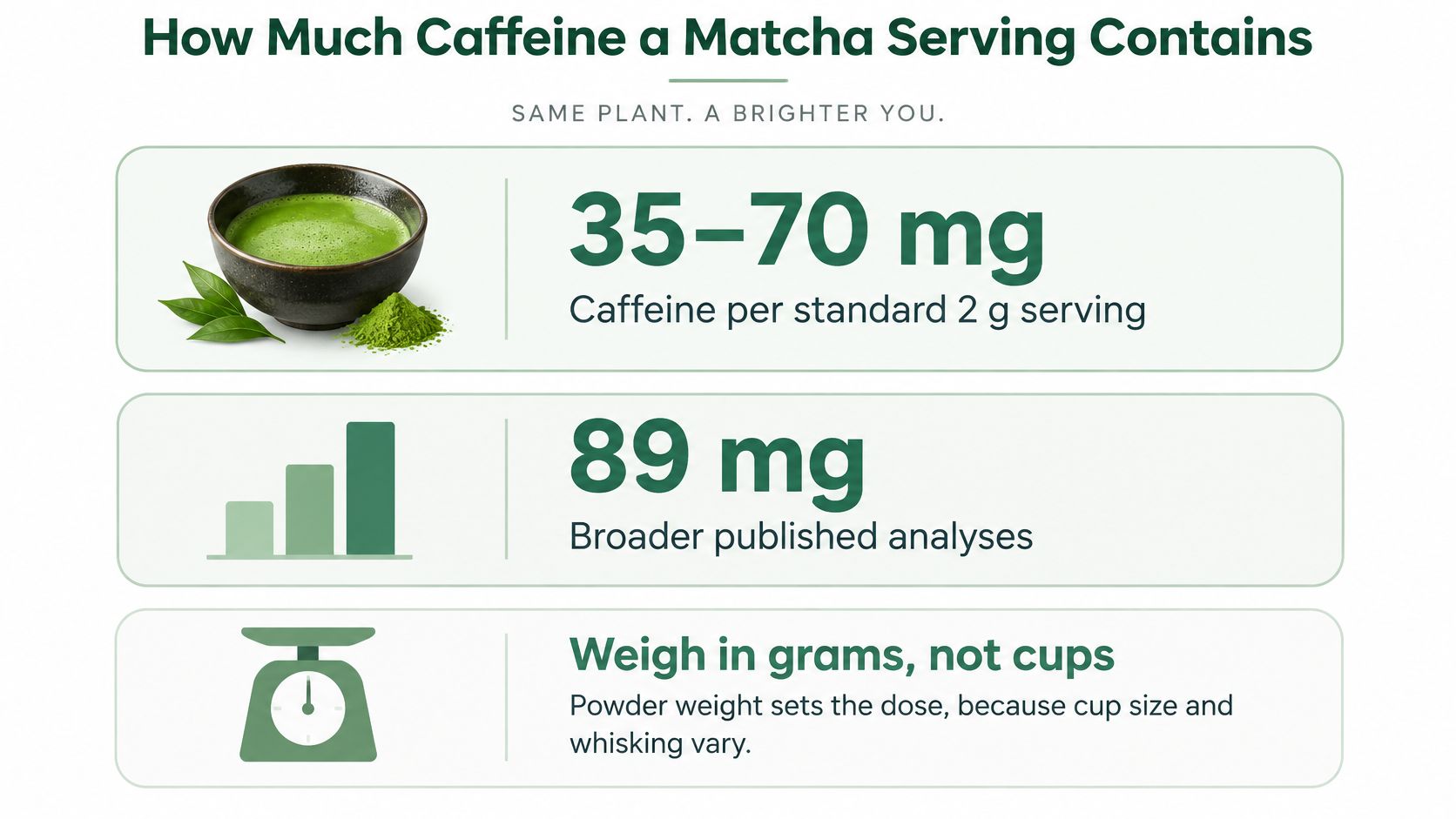 An infographic detailing caffeine content in matcha servings, emphasizing the importance of weighing powder in grams.