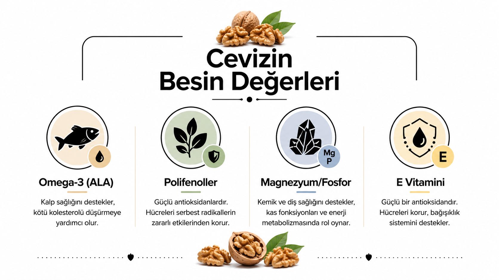 Cevizin besin değerlerini, omega-3, polifenoller, magnezyum, fosfor ve E vitamini içeriklerini gösteren bilgilendirici bir infografik görseli.