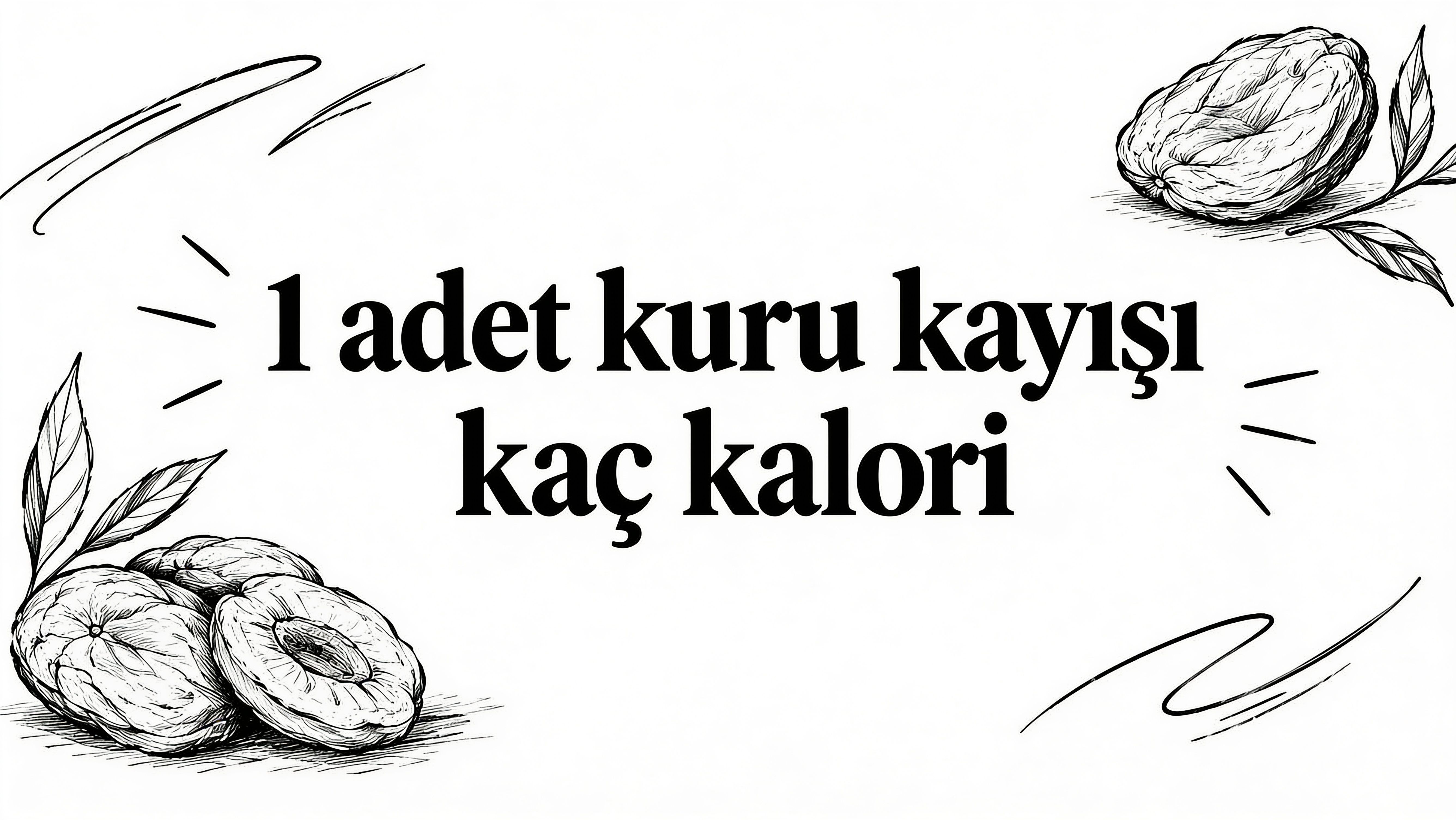 1 adet kuru kayisi kaç kalori